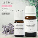 【オーガニック】ラバンジン アブリアリス 5ml 10ml 【精油 エッセンシャルオイル アロマオイル アロマ ギフト ラベンダー】【AEAJ表示基準適合認定精...