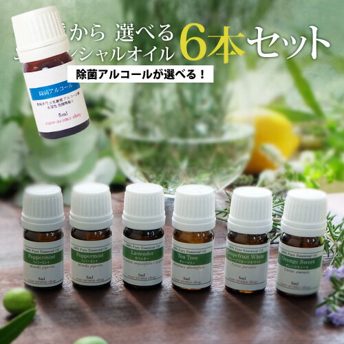 ＼オーガニックも選べる／アロマオイル AEAJ認定 40種から選べる6本 各5ml 精油 返品保証付！送料無料・100%ピュア（アロマオイル エッセンシャルオイル　精油　セット）アロマ ギフト ラベンダー ミント【代金引換不可】【RCP】