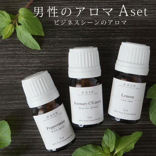 男性のアロマAset(ペパーミント・ローズマリー・レモン 各5ml×3本)☆メール便可(精油 エッセンシャルオイル お試し 初心者 初めて ギフト メンズ 疲れ リフレッシュ ストレス 仕事)