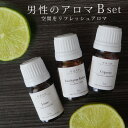 男性のアロマBset(ライム・ユーカリラジアータ・サイプレス 各5ml×3本)☆メール便可(精油 エッセンシャルオイル お試し 初心者 初めて ギフト メンズ 部屋 リフレッシュ ストレス 臭い)