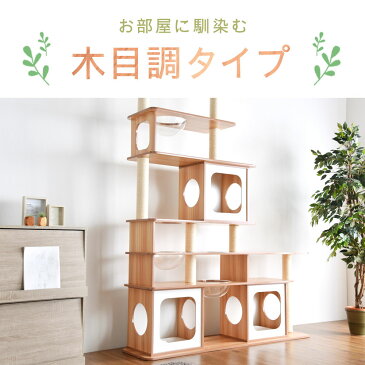 ◆送料無料◆ 伸縮式 幅160cm 据え置き 麻紐 爪とぎ キャットタワー 多頭飼い キャットウォーク キャットタワー 猫 ねこ ネコ リビング ペット 猫タワー 爪研ぎ 麻紐 キャットシェルフ 背面化粧仕上げ ハピネコ 伸縮 160 高め