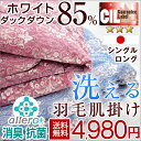 【送料無料/在庫有】 羽毛肌掛け布団 CILレッドラベル 消臭 抗菌 【新技術アレルGプラス きになる臭いも改善】 シングル ロング 300dp以上 洗える 日本製 国内パワーアップ ホワイト ダウン 85% 肌掛け 羽毛布団 夏用 肌掛け布団 掛け布団 ダウンケット 国産
