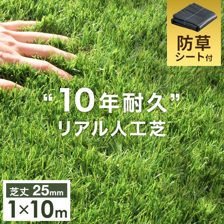 【正午~5 OFFクーポン】 10年耐久 高密度52万本/m2 リアル 人工芝 【防草シート付】 ロール 1m×10m 芝丈25mm U字ピン 48本 セット 水はけ 10m 1m ピン 高耐久 リアル人工芝 除草剤不要 防草シート 除草シート ベランダ 屋上 ベランダ バルコニー 庭 ガーデン 芝