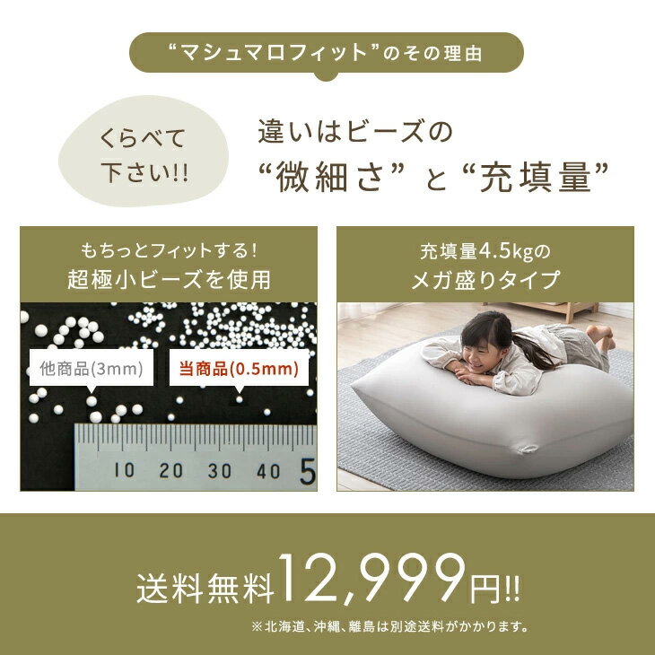 【本日5%OFFクーポン】 もちっとフィット ビーズクッション メガ盛4.5kg 充填量4.5kg 一人掛け 洗える カバー コンパクト ソファ ソファー 座椅子 ビーズソファ ビーズソファー ビーズ クッション ローソファー 大きい メガ 一人用