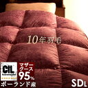 プラチナラベル 10年 羽毛布団 ダウン95% 大増量1.6キロ ポーランド ホワイト マザー グース ダウン 484dp以上 かさ高200mm以上 超長綿 360Tサテン 10年保証 日本製 セミダブル ロング 掛布団(3)