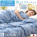 【本日5%OFFクーポン】 においの少ないグースダウン 日本製 洗える ダウンケット 1枚 / 2枚組 ホワイトグースダウン 93% 0.3kg 肌掛け布団 掛...