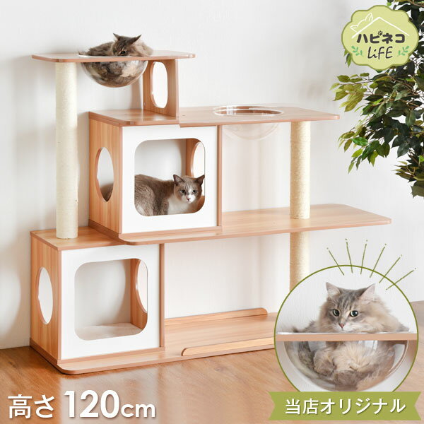 木製キャットタワー 高さ120cm 幅145cm 据え置き 麻紐 爪とぎ キャットタワー 多頭飼い キャットウォーク キャットタワー 猫 ねこ ネコ リビング ペット 猫タワー 爪研ぎ 麻紐 キャットシェルフ 背面化粧仕上げ ハピネコ 120 145