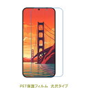 【2枚】 Galaxy S24 SC-51E SCG25 液晶保護フィルム 高光沢 クリア
