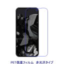 【2枚】 Google Pixel 9 Pro XL 6.7インチ 液晶保護フィルム 非光沢 指紋防止