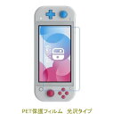 【2枚】 Nintendo Switch Lite 2019年 液晶保護フィルム 高光沢 クリア