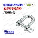AK2013 ピンシャックル 8mm(4)