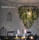 日々の暮らしをちょっとずつ癒してくれる【DI CLASSE(ディ クラッセ)】 ペンダントランプ Foresti pendant lamp 豊かなグリーン 電球...