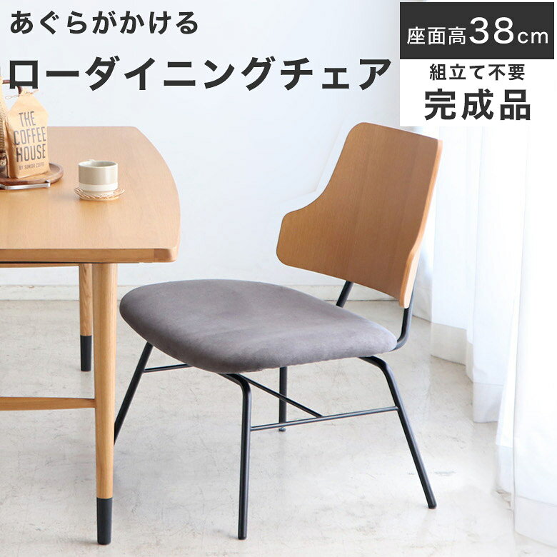 Rakuten - 【あぐらもかける】ダイニングチェア LDチェア ローダイニングチェア ローチェア 北欧 ゆったり 低め ロータイプ おしゃれ 1脚 チェア スチール 食卓 椅子 木 イス 幅 65 cm シンプル 完成品 背付き 65cm モダン