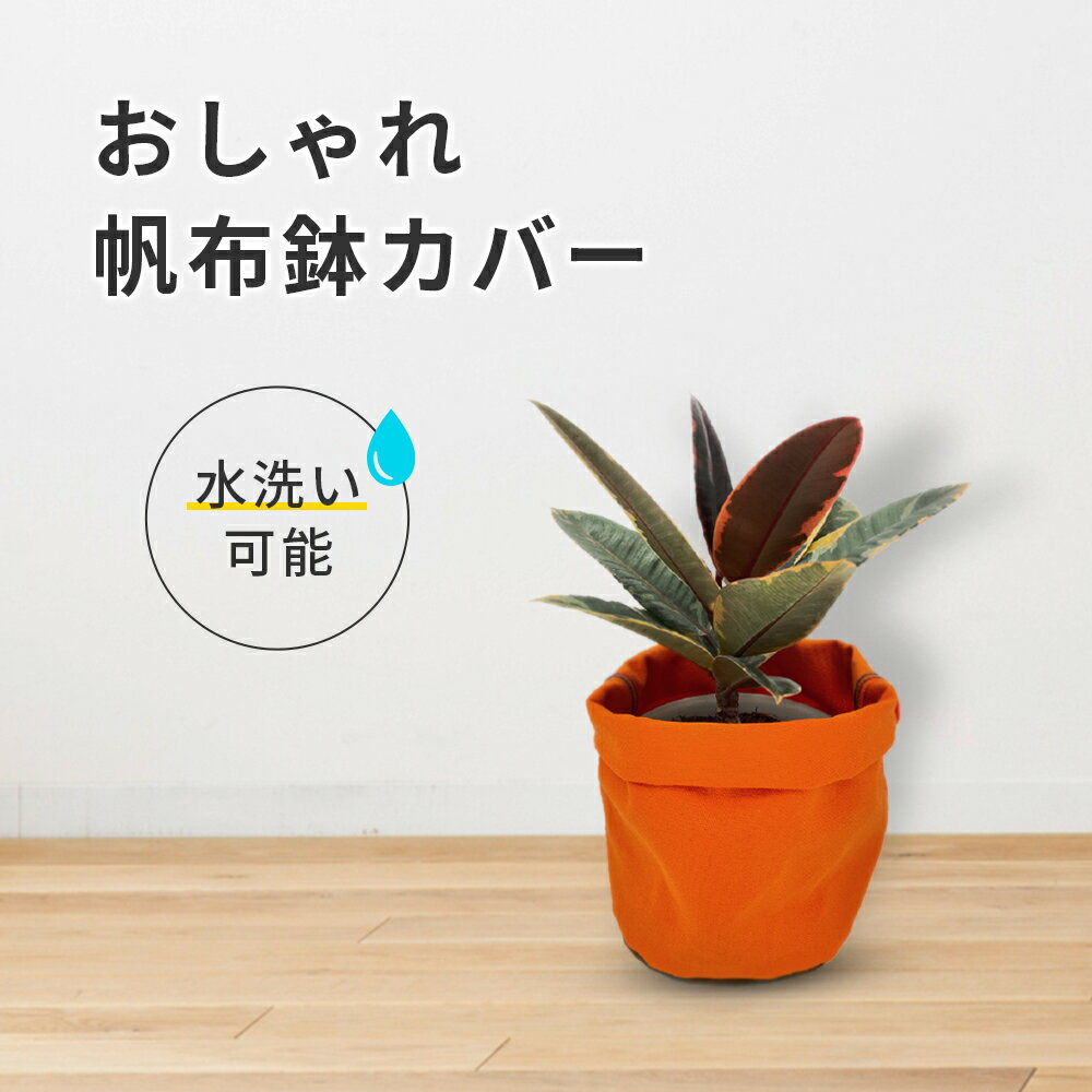 鉢カバー 国産 高級帆布 おしゃれ バスケット 折り畳み式 水洗い可 洗濯可 陰干し可 鉢 鉢カゴ 鉢植えカバー 収納バスケット 収納バスケット鉢カバー 観葉植物 5号 6号 7号 8号