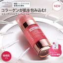 【35%割引】【公式】【EasydewJAPAN】DW-EGFコラーゲンシルクリームセラム 55g //使用期限2026年11月15日迄//美容液 EGFクリーム コラーゲン 韓国 ダーマコスメ