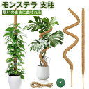 モンステラ 支柱 ココスティック 観葉植物 2本入り支柱 園芸支柱 植物 ガーデニング用 花ささえ ココナッツ支柱 植物サポート トマト 支柱 園芸用フラワース...
