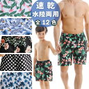 親子水着 ビーチパンツ メンズ 男の子 水着 夏 ショートパンツ ハーフパンツ 親子ペア水着 短パン 海パン 水陸両用 速乾 キッズ水着 サーフパンツ ストレッチ ゴムウエスト パンツ 吸水速乾 総柄 ドット 水着 旅行 ビーチ 海水浴 海 お出かけ アウトドア 親子コーデ