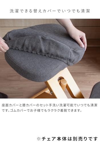 EasyLifeShopのプロポーションチェア 専用替えカバー 3枚セット(座面/補助クッションあり・なし) CV-9K PK ピンク 送料無料｜アングル3