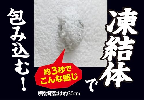 イカリ消毒 ムシクリンカメムシ用コールドエアゾール 300ml エアゾール カメムシ駆...