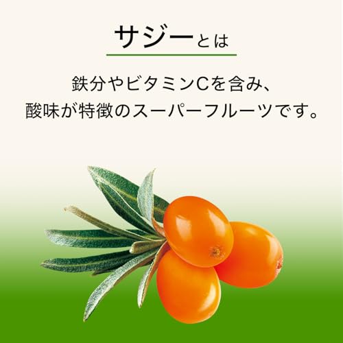 伊藤園 アップルマンゴーサジーミックス エコパック (紙パック) 200ml ×24本 送料無料 3