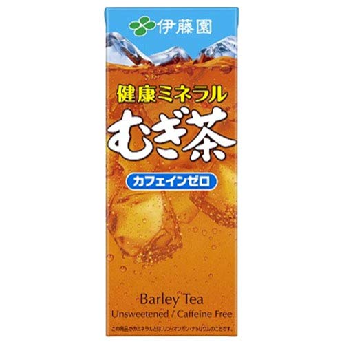 【2ケースセット】伊藤園 健康ミネラルむぎ茶 250ml紙パック×24本入×(2ケース) 送料無料