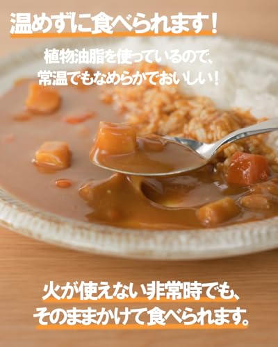 常備用 温めずに食べられるカレー職人 中辛 170g×10個 江崎グリコ (常温保存/非常食/備蓄/ローリングストック/レトルト/防災) 送料無料 easylifeshop-10016624 EasyLifeShop サンプル画像3