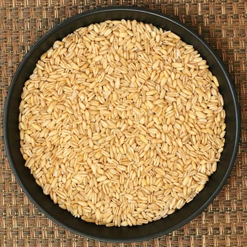 ライスアイランド お米と炊くオートミール粒タイプ 150g ×5袋 送料無料