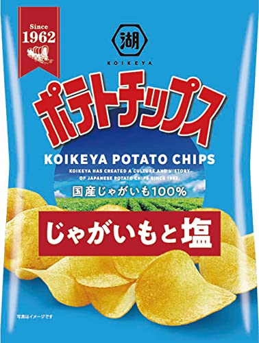 湖池屋 ポテトチップス じゃがいもと塩 55g?12袋 送料無料