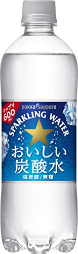 サッポロ おいしい炭酸水 600ml ×24本 送料無料