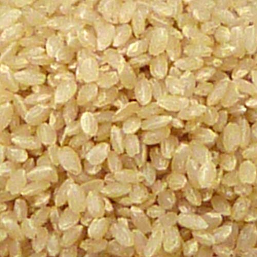 あきたこまち早炊き玄米 900g 送料無料 - 3