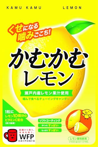 かむかむレモン 袋 30g ×10袋 送料無料