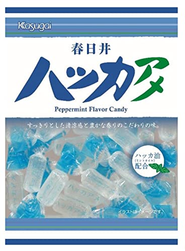 春日井製菓 Vハッカアメ 121g×12袋 送料無料