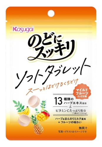 春日井製菓 のどにスッキリ ソフトタブレット マイルドフルーツミックス 20g×6袋 送料無料