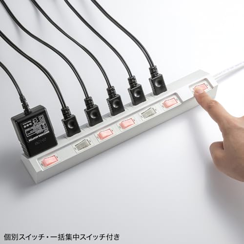 EasyLifeShopのサンワサプライ 電源タップ 6個口・2ピン(2m) 節電 個別・一括集中スイッチ ホコリ防止シャッター 強力ネオジムマグネット 雷ガード 送料無料｜アングル3