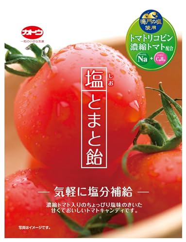 加藤製菓 塩とまと飴 58g×10袋 送料無料