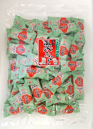 日進堂製菓 ミニ粟おこし 500g 送料無料