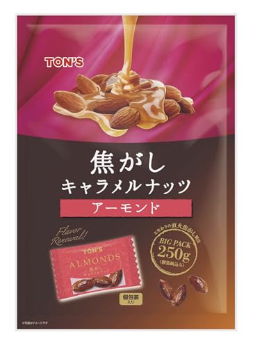 東洋ナッツ食品 焦がしキャラメルナッツ アーモンド 大袋 小分け 個包装 250g 送料無料