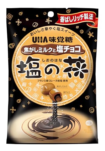 UHA味覚糖 塩の花 71g×6袋 送料無料