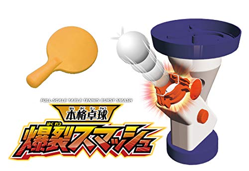 EasyLifeShopの本格卓球 爆裂 スマッシュ【日本おもちゃ大賞2019 コミュニケーション・トイ部門 優秀賞】 送料無料｜アングル2