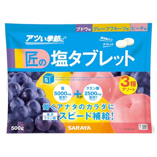 サラヤ 匠の塩タブレット 3種アソート 500g 送料無料