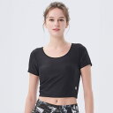 【SALE 20%OFF 送料別】ショートスリーブUシェイプブラトップ/ブラック easyoga イージーヨガ ヨガウェアトップス かわいい オシャレ ヨガ ホ...