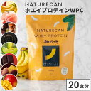 【正規販売店】新フレーバー追加 NATURECAN ホエイプロテイン WPC 20食分 プロテイン配合量最大21g ホエイプロテイン 高タンパク質 低脂質 低カロリー ネイチャーカン 日本製 サプリ ダイエット トレーニング 筋トレ バナナ 白桃 黒糖ミルクティー 黒ごま メロン