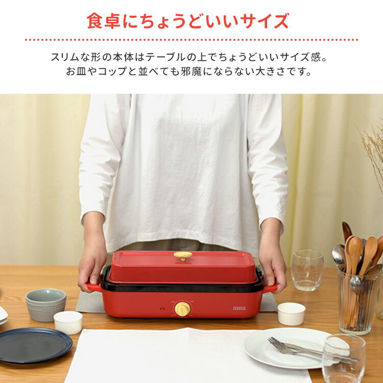 PRISMATE スリムホットプレート プレート3種 レシピブック付 PR-SK035 プリズメイ...