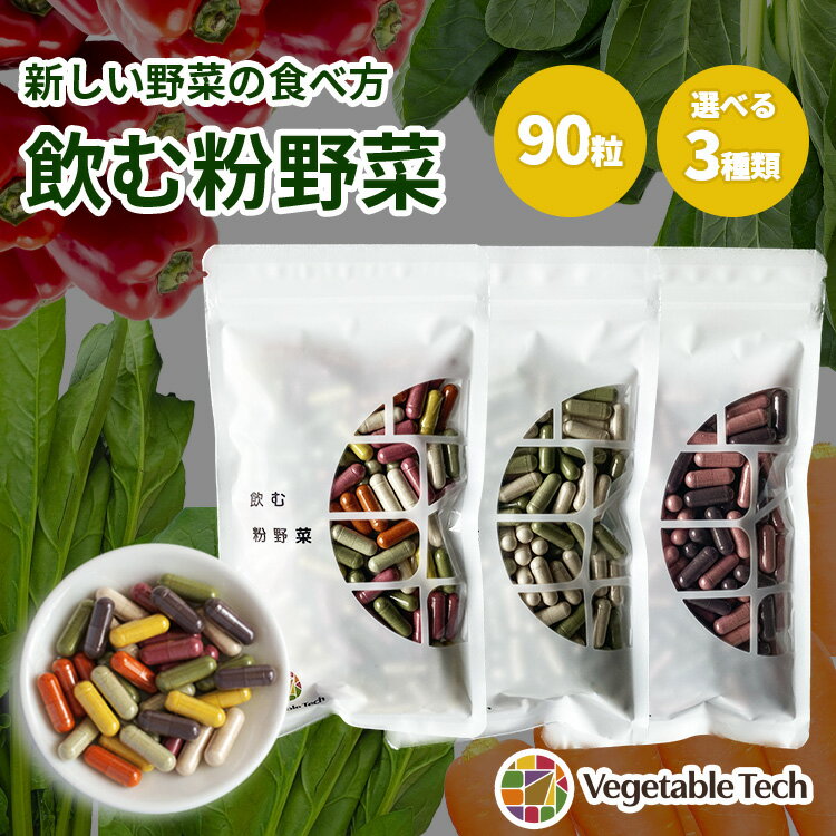 【250円OFFクーポン】飲む粉野菜 90粒入 サプリ 9つの野菜 ケール 人参葉 ごぼう 赤紫蘇 紫人参 紅大根 3種の野菜 農薬不使用 野菜不足 サプリメント カプセル 国産 野菜パウダー 野菜嫌い 栄養補給 粉末 粉 離乳食【メール便送料無料】