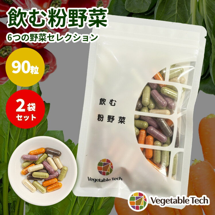 Rakuten - 【クーポン発行中】2袋セット ベジタブルテック 飲む粉野菜 6つの野菜セレクション 90粒 サプリ ごぼう 赤ピーマン 紫人参 赤紫蘇 ケール モリンガ 農薬不使用 無農薬 野菜不足 カプセル 粉末 国産 野菜パウダー 野菜嫌い ヴィーガン サラダ 離乳食