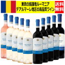 【ルーマニアワイン】プラホヴァヴァレー Prahova Valley 単品ページ ドメニーレアレキサンドリオンライン1892 デアルマーレ地区 DOC デアルマーレ 赤ワイン 白ワイン ロゼワイン ルーマニア ワイン 土着品種 フェテアスカ 希少品種 国際品種 アレキサンドリオングループ