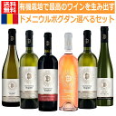 有機栽培農法ビオディナミで最高のルーマニアワインを生み出すドメニウルボグダンを飲み比べ自由に選べる赤白ミックスセット　ルーマニア　ワイン　赤ワイン　白ワイン　ミックスワインセット　ルーマニアドブロジェア地方