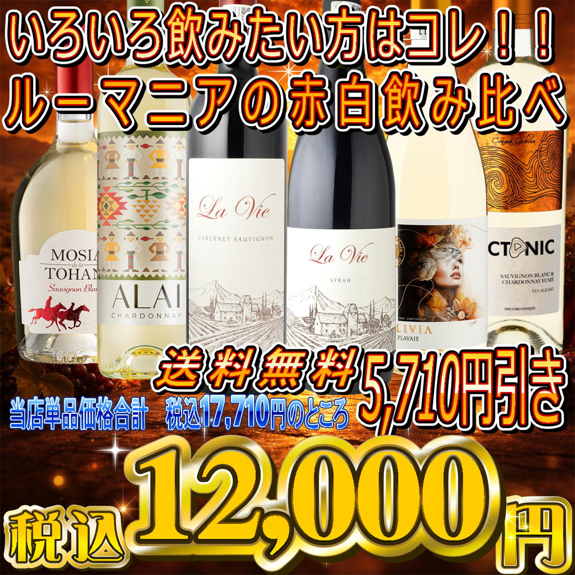 【送料無料】赤白ワインセット 6本 飲み比べ 厳選 コスパ◎ ワインエキスパート厳選 ルーマニア産 貴重な土着品種含む eatsales-10000536 ユーロアジア交易販売 サンプル画像3