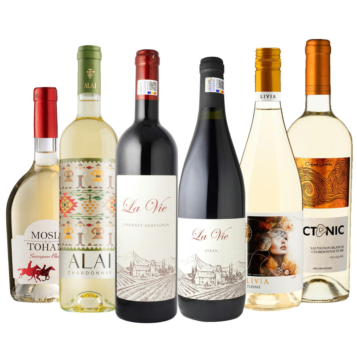 【送料無料】赤白ワインセット 6本 飲み比べ 厳選 コスパ◎ ワインエキスパート厳選 ルーマニア産 貴重な土着品種含む eatsales-10000536 ユーロアジア交易販売 サンプル画像2
