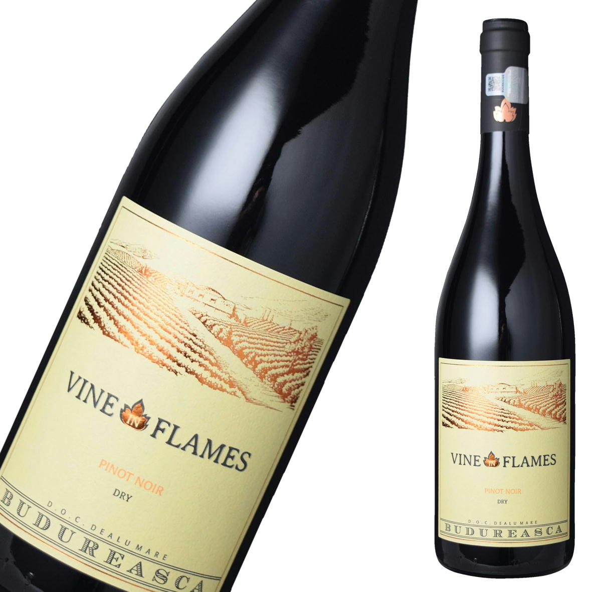 ヴィルブドゥレアスカ　ヴァイン　イン　フレイム　ピノノワール　2023　Viile Budureasca　Vine in Flames Pinot Noir　2023